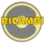 Braciere ghisa ricamb.x stufa king 6-8-10-12