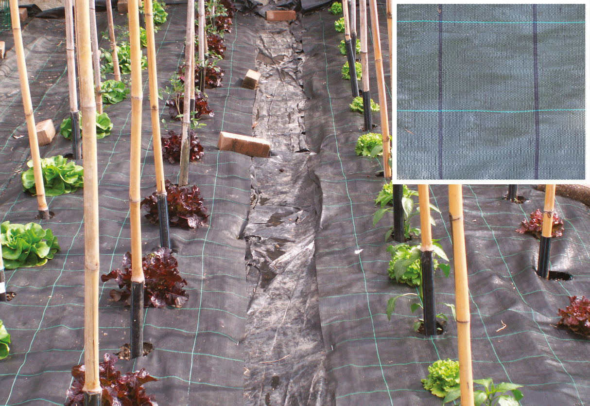 Telo pacciamatura pp h 1,05 m rotolo 100 m