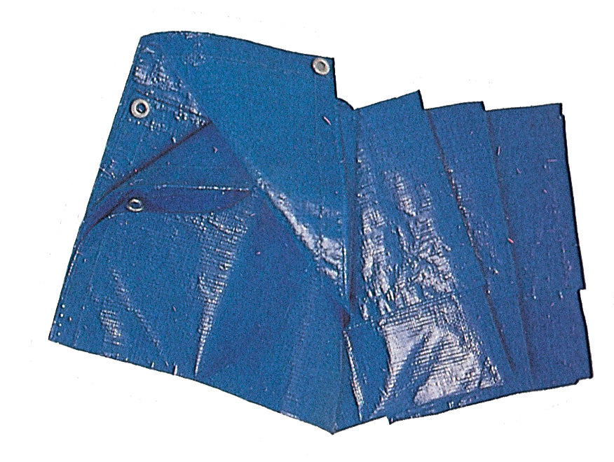 Telone pe standard c/occhioli 85 g blu 8x10 m