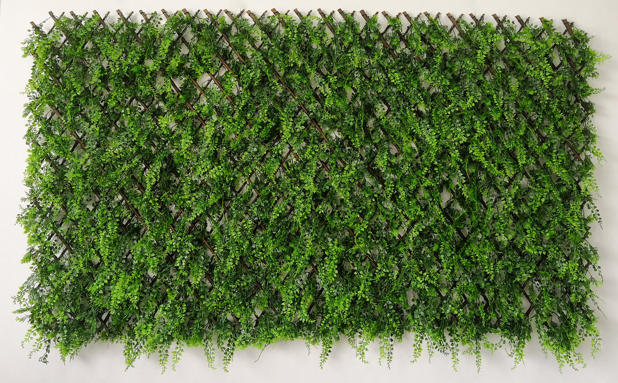 Arella con steccato e erba sempreverde 1x2 m