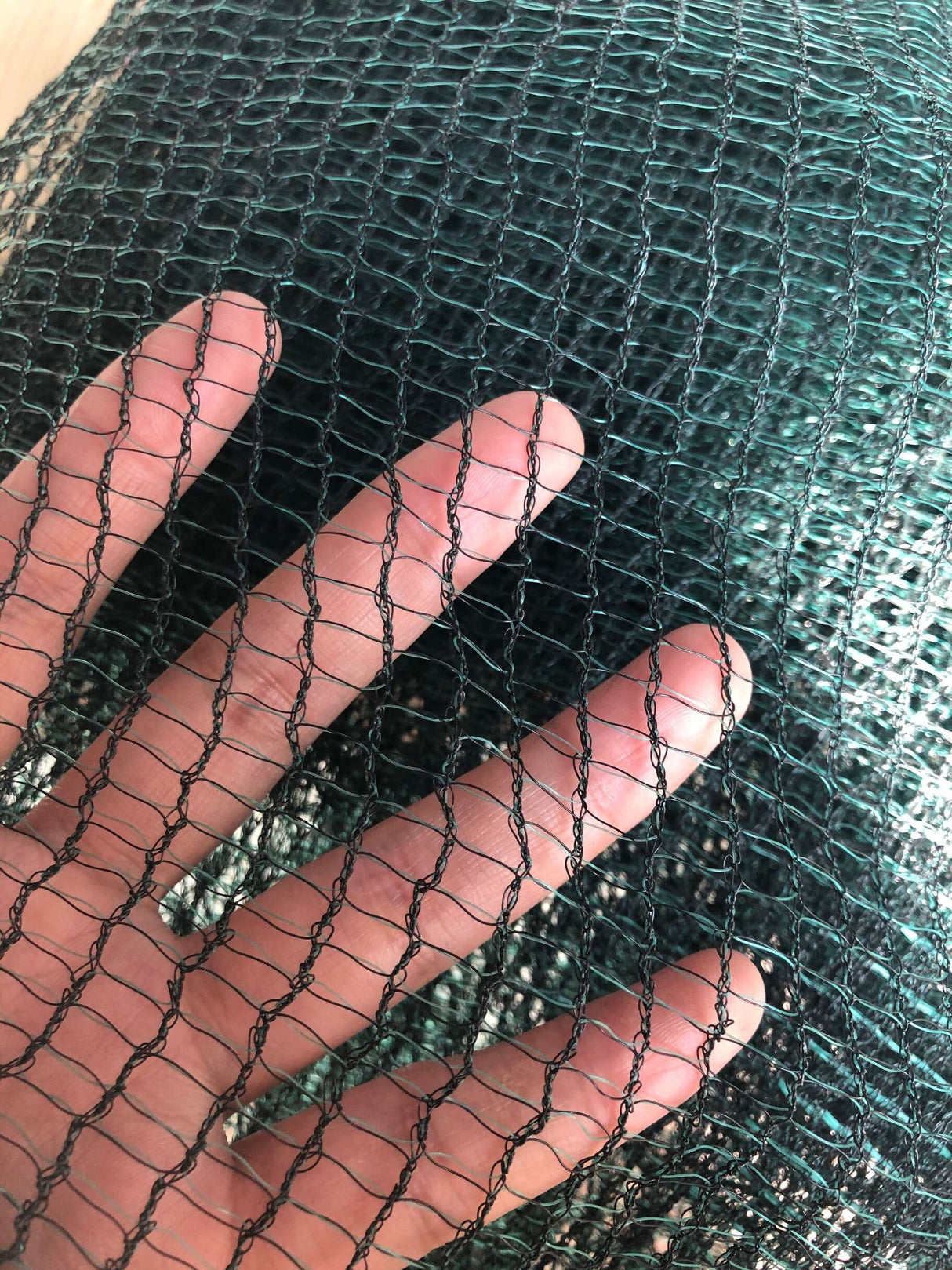 Rete per olive antispina 32 g 5x200 m calabria