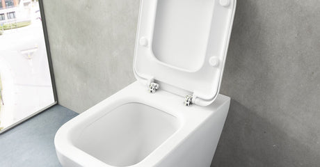 Coprivasi wc
