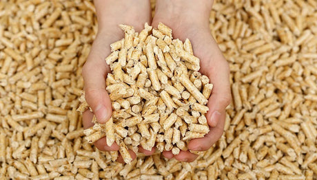Pellet bioetanolo combustibili