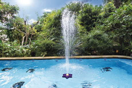 Fontana a fiore k737cbx per piscine