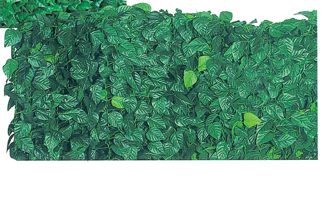 Arella sempreverde lauro 1,50x 20 m